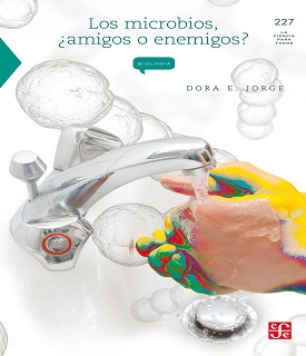 Los microbios, ¿amigos o enemigos?